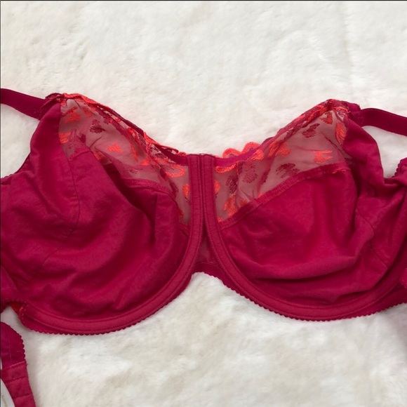 PRIMA DONNA - EUC-NWOT Bra (36I) - Picture 7 of 7
